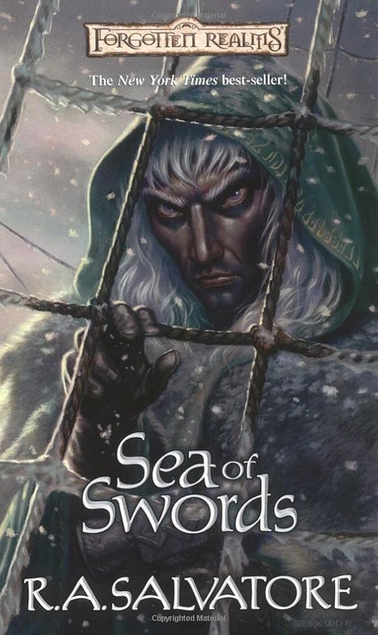 Sea of Swords: Paths of Darkness cover image