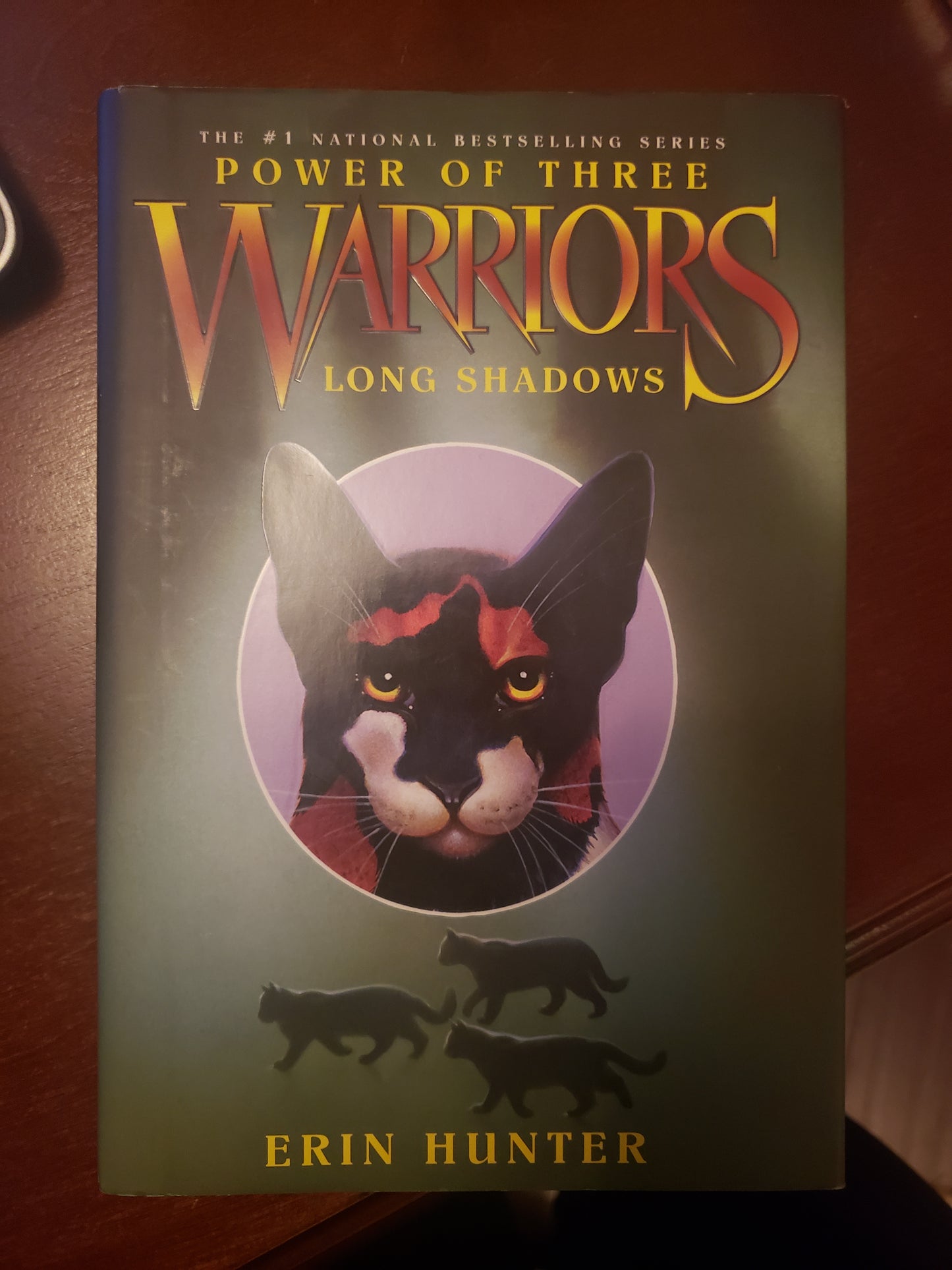 Warriors: Power of Three #5: Long Shadows